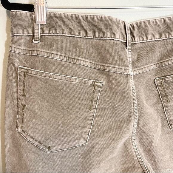 J. Jill Women's Olive Green Bootcut Corduroy Pants Size 14P - Picture 10 of 11